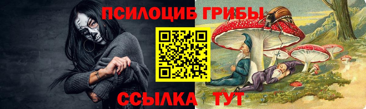 Черемхово  Псилоцибиновые грибы Psilocybine cubensis  Вход с VPN 