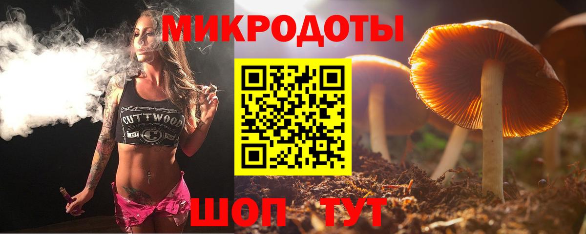 Псилоцибиновые грибы прущие грибы Черемхово